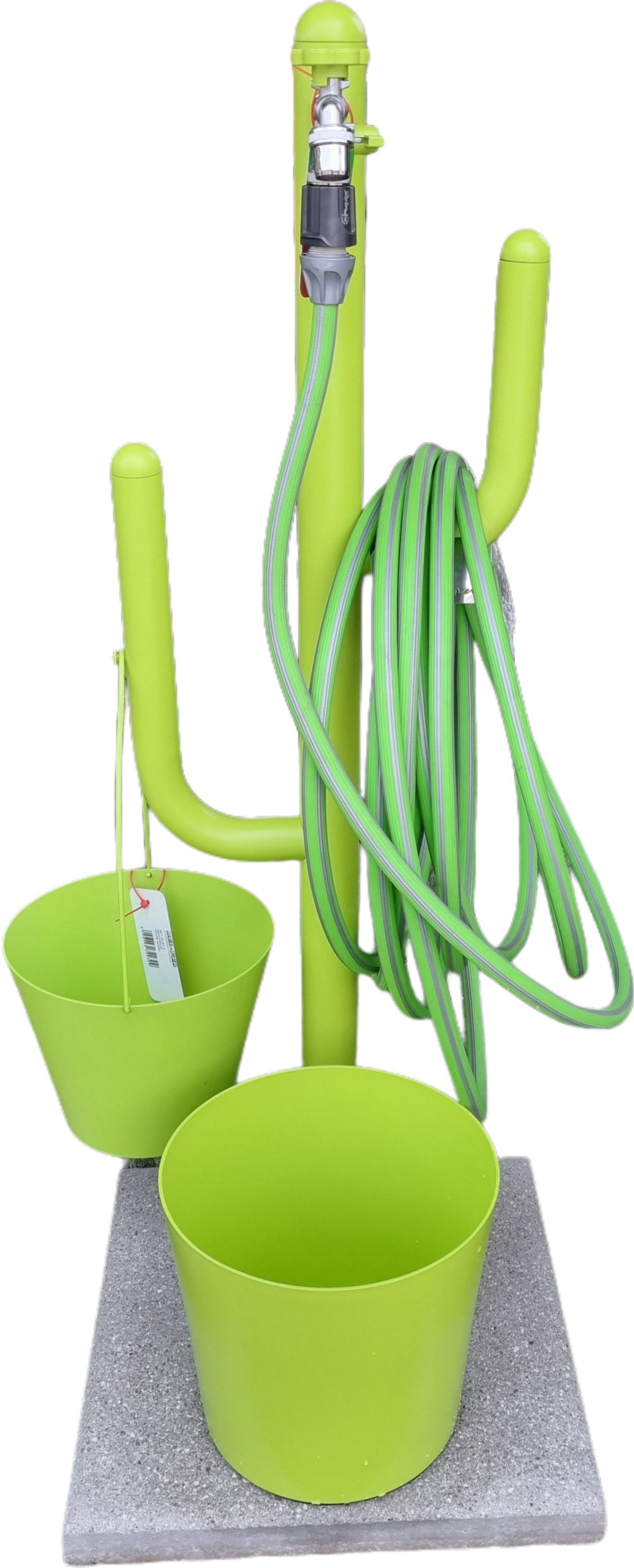 FONTANA CACTUS