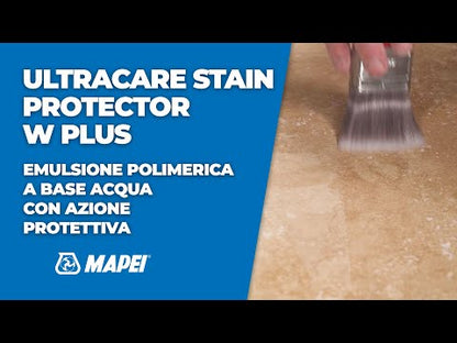 STAIN PROTECTOR W PLUS LT 1